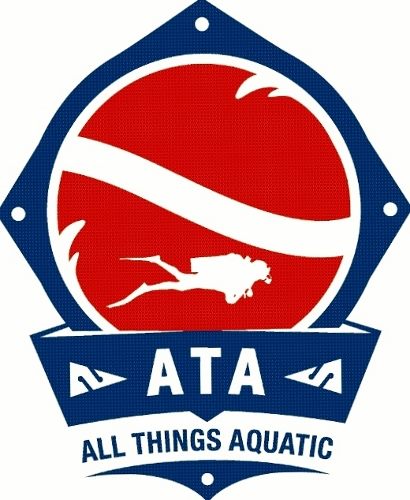 All Things Aquatic Pool Services